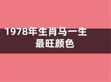 1978年生肖马一生最旺颜色