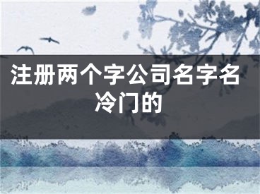 注册两个字公司名字名冷门的