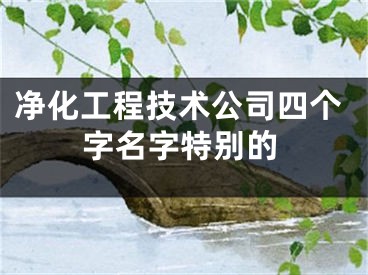 净化工程技术公司四个字名字特别的