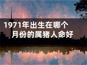 1971年出生在哪个月份的属猪人命好