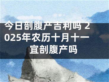 今日剖腹产吉利吗 2025年农历十月十一宜剖腹产吗