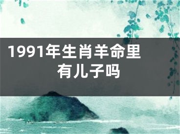 1991年生肖羊命里有儿子吗