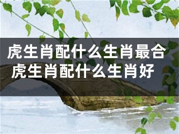 虎生肖配什么生肖最合 虎生肖配什么生肖好