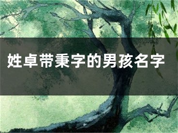 姓卓带秉字的男孩名字