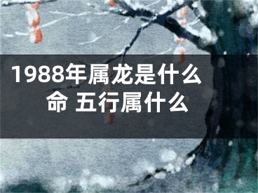1988年属龙是什么命 五行属什么