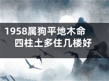 1958属狗平地木命四柱土多住几楼好