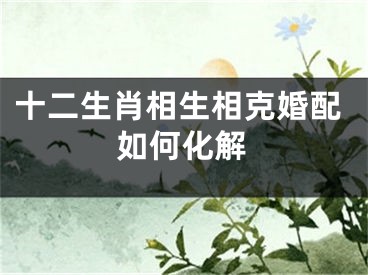 十二生肖相生相克婚配如何化解