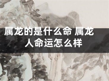 属龙的是什么命 属龙人命运怎么样