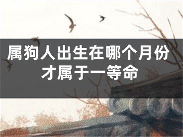 属狗人出生在哪个月份才属于一等命