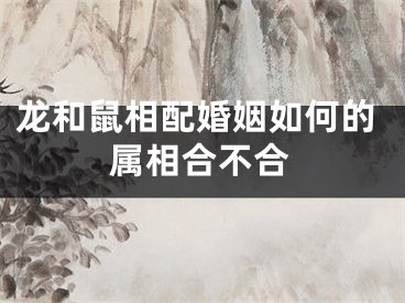 龙和鼠相配婚姻如何的属相合不合
