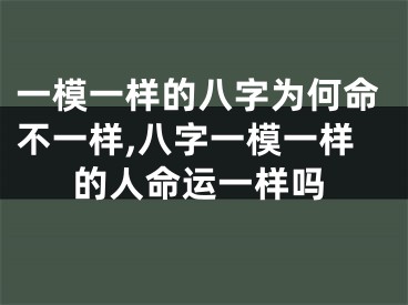 一模一样的八字为何命不一样,八字一模一样的人命运一样吗
