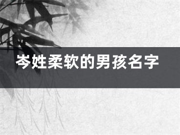 岑姓柔软的男孩名字