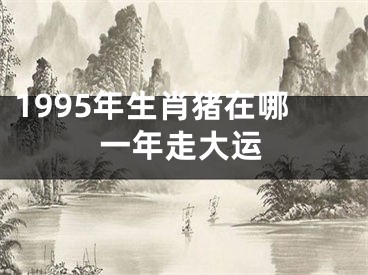 1995年生肖猪在哪一年走大运