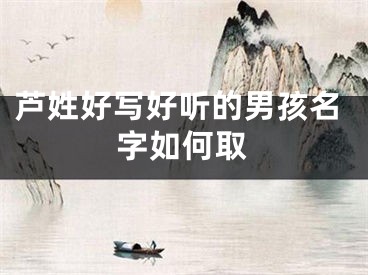 芦姓好写好听的男孩名字如何取