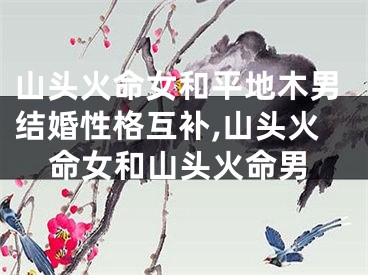 山头火命女和平地木男结婚性格互补,山头火命女和山头火命男