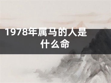 1978年属马的人是什么命