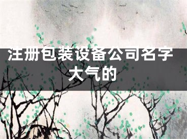 注册包装设备公司名字大气的