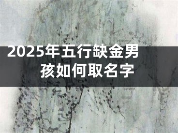 2025年五行缺金男孩如何取名字