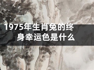 1975年生肖兔的终身幸运色是什么
