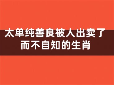 太单纯善良被人出卖了而不自知的生肖