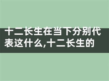 十二长生在当下分别代表这什么,十二长生的