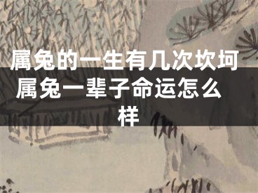 属兔的一生有几次坎坷 属兔一辈子命运怎么样