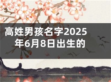 高姓男孩名字2025年6月8日出生的
