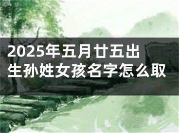 2025年五月廿五出生孙姓女孩名字怎么取