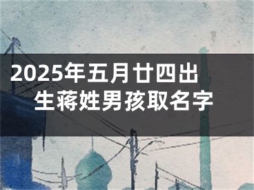 2025年五月廿四出生蒋姓男孩取名字