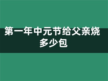 第一年中元节给父亲烧多少包