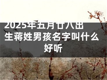 2025年五月廿八出生蒋姓男孩名字叫什么好听
