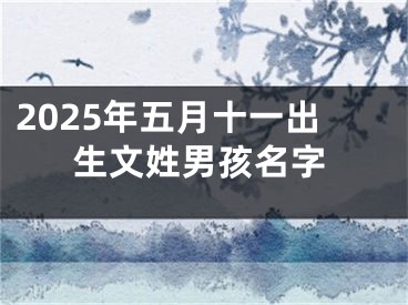 2025年五月十一出生文姓男孩名字