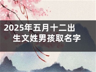 2025年五月十二出生文姓男孩取名字