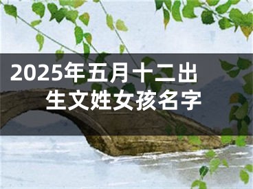2025年五月十二出生文姓女孩名字