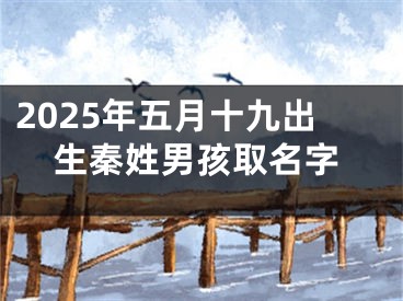 2025年五月十九出生秦姓男孩取名字