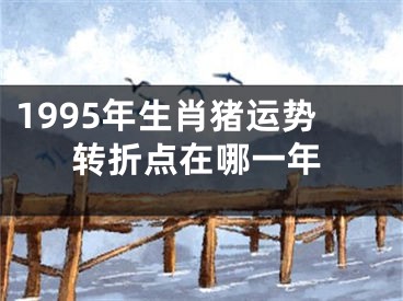 1995年生肖猪运势转折点在哪一年