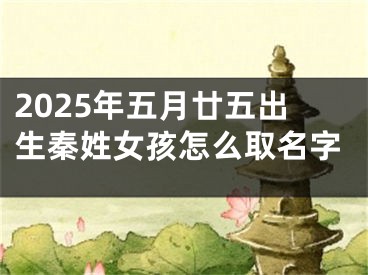 2025年五月廿五出生秦姓女孩怎么取名字