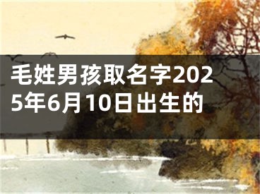 毛姓男孩取名字2025年6月10日出生的
