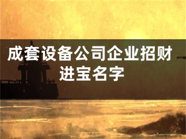 成套设备公司企业招财进宝名字
