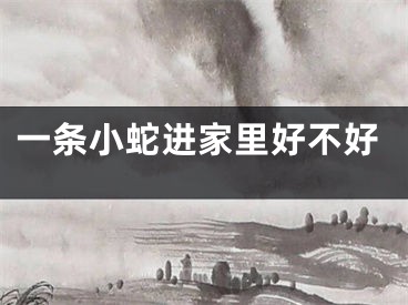 一条小蛇进家里好不好