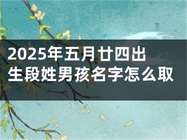 2025年五月廿四出生段姓男孩名字怎么取