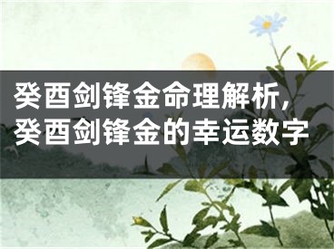 癸酉剑锋金命理解析,癸酉剑锋金的幸运数字