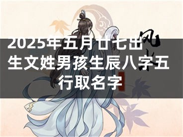 2025年五月廿七出生文姓男孩生辰八字五行取名字