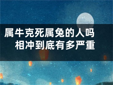 属牛克死属兔的人吗 相冲到底有多严重