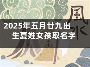 2025年五月廿九出生夏姓女孩取名字