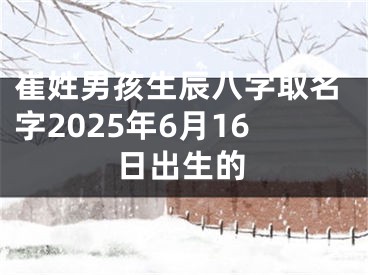 崔姓男孩生辰八字取名字2025年6月16日出生的