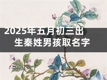 2025年五月初三出生秦姓男孩取名字