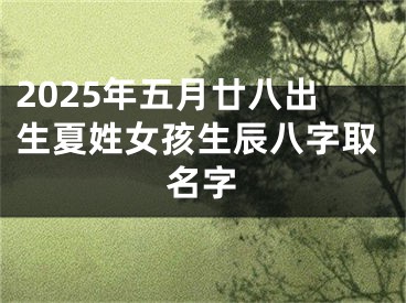 2025年五月廿八出生夏姓女孩生辰八字取名字