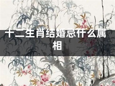 十二生肖结婚忌什么属相