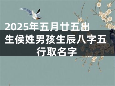 2025年五月廿五出生侯姓男孩生辰八字五行取名字